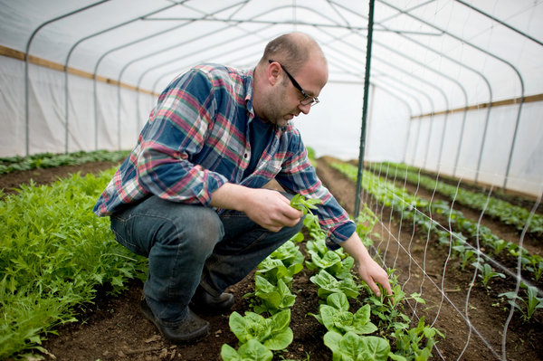 Chef Michael Kaphan, of Purdy's Farmer and the Fish, in his hoop house