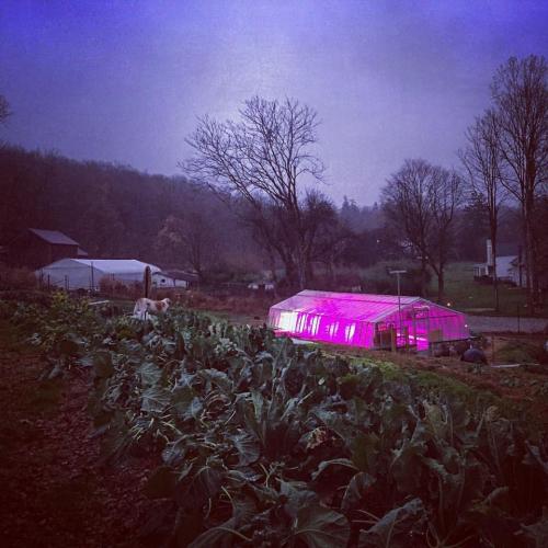 Purdy's Farmer & the Fish greenhouse at dusk