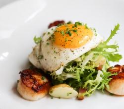 Seared scallops & sunny side up egg